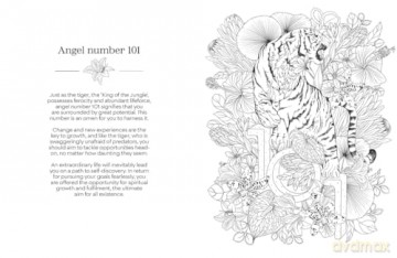 Angel Numbers Colouring: Discover the Wisdom of Numerology - Anjali Singh [KSIĄŻKA]