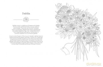 The Language of Flowers Colouring Book: Botanicals from Around the World and their Meanings - Stratten Peterson [KSIĄŻKA]