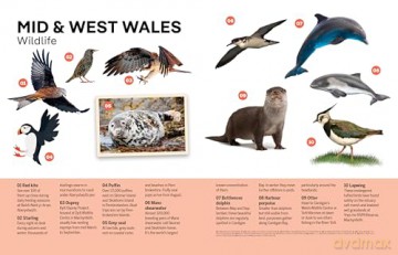 Lonely Planet Experience Great Britain (Travel Guide) - Kerry Walker [KSIĄŻKA]