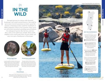 Lonely Planet Portugal: Detailed Itineraries | Travel Like a Local | Insider Tips | Covers Lisbon, Algarve, Alentejo, Porto and more (Travel Guide) - Joana Taborda [KSIĄŻKA]