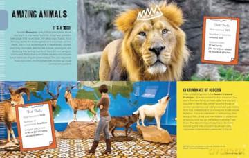 Lonely Planet Kids A Kid's Guide to Rome: Let the Adventure Begin! (Lonely Planet Kids Guides) - Lonely Planet [KSIĄŻKA]