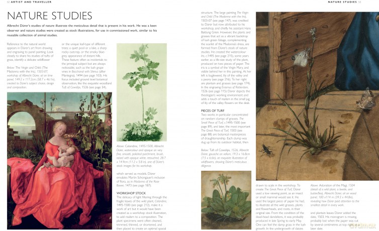 Durer: His Life and Works in 500 Images: An illustrated exploration of the artist in context, with a biography and gallery of his paintings and drawings (Great Artists) - Rosalind Ormiston [KSIĄŻKA]
