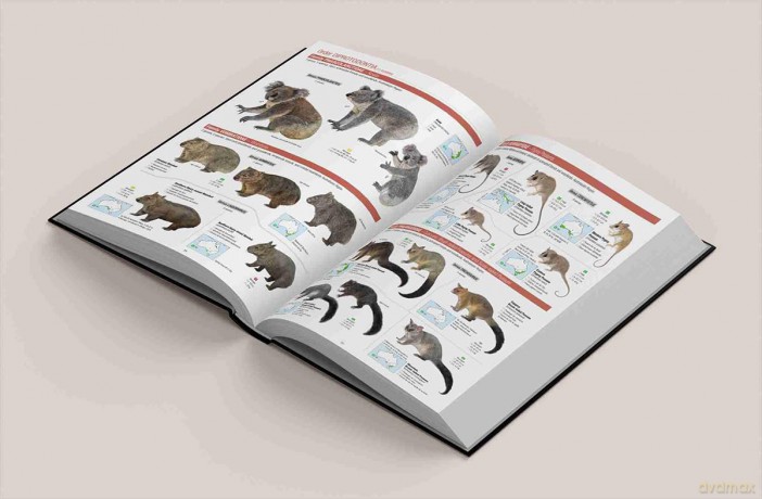 All the Mammals of the World - Toni Llobet François [KSIĄŻKA]