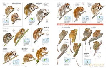 All the Mammals of the World - Toni Llobet François [KSIĄŻKA]