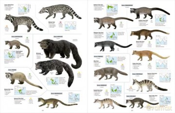 All the Mammals of the World - Toni Llobet François [KSIĄŻKA]