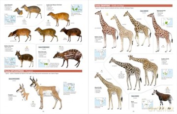 All the Mammals of the World - Toni Llobet François [KSIĄŻKA]
