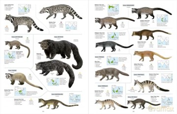 All the Mammals of the World - Toni Llobet François [KSIĄŻKA]