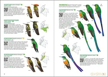 Birds of Colombia - Steven L. Hilty [KSIĄŻKA]