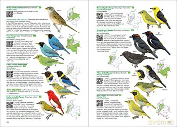 Birds of Colombia - Steven L. Hilty [KSIĄŻKA]