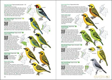 Birds of Colombia - Steven L. Hilty [KSIĄŻKA]
