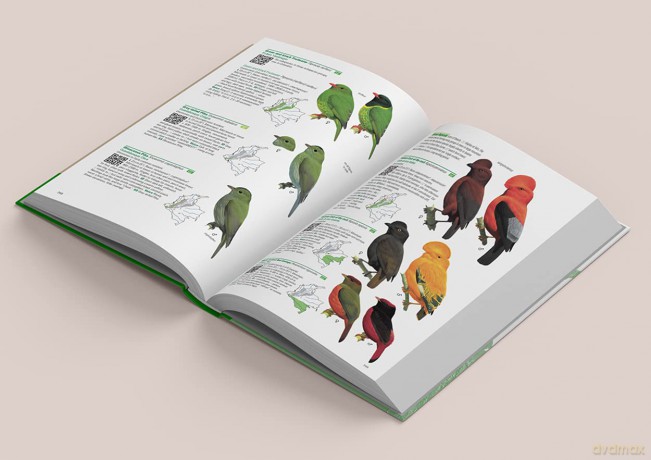 Birds of Colombia - Steven L. Hilty [KSIĄŻKA]
