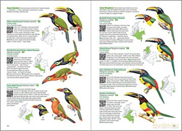 Birds of Colombia - Steven L. Hilty [KSIĄŻKA]