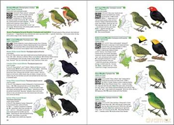 Birds of Colombia - Steven L. Hilty [KSIĄŻKA]