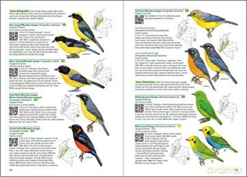 Birds of Colombia - Steven L. Hilty [KSIĄŻKA]