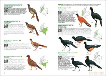 Birds of Colombia - Steven L. Hilty [KSIĄŻKA]