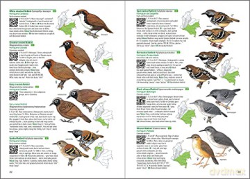 Birds of Colombia - Steven L. Hilty [KSIĄŻKA]