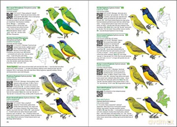 Birds of Colombia - Steven L. Hilty [KSIĄŻKA]