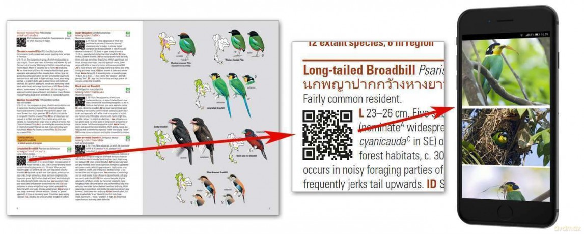 Birds of Thailand - Uthai Treesucon [KSIĄŻKA]