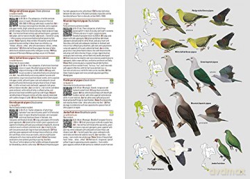 Birds of Thailand - Uthai Treesucon [KSIĄŻKA]