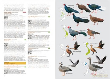 Birds of Vietnam. 2nd Edition - Richard Craik [KSIĄŻKA]