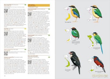 Birds of Vietnam. 2nd Edition - Richard Craik [KSIĄŻKA]