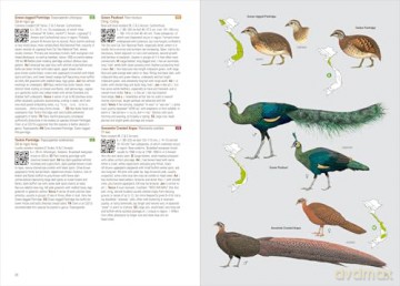 Birds of Vietnam. 2nd Edition - Richard Craik [KSIĄŻKA]