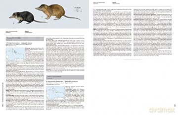 Handbook of the Mammals of the World. Vol.8: Insectivores, Sloths and Colugos - Don E. Wilson [KSIĄŻKA]