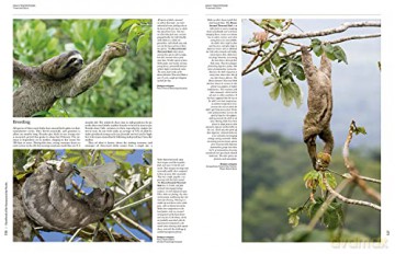 Handbook of the Mammals of the World. Vol.8: Insectivores, Sloths and Colugos - Don E. Wilson [KSIĄŻKA]