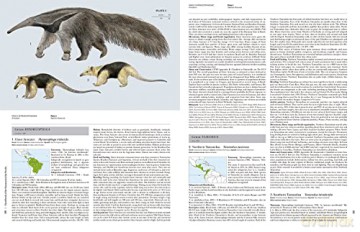 Handbook of the Mammals of the World. Vol.8: Insectivores, Sloths and Colugos - Don E. Wilson [KSIĄŻKA]