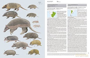 Handbook of the Mammals of the World. Vol.8: Insectivores, Sloths and Colugos - Don E. Wilson [KSIĄŻKA]