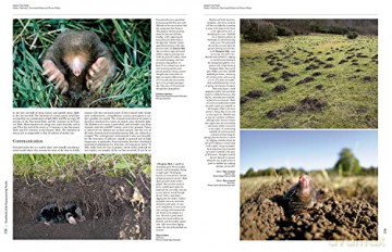 Handbook of the Mammals of the World. Vol.8: Insectivores, Sloths and Colugos - Don E. Wilson [KSIĄŻKA]
