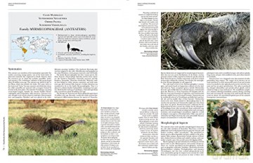 Handbook of the Mammals of the World. Vol.8: Insectivores, Sloths and Colugos - Don E. Wilson [KSIĄŻKA]