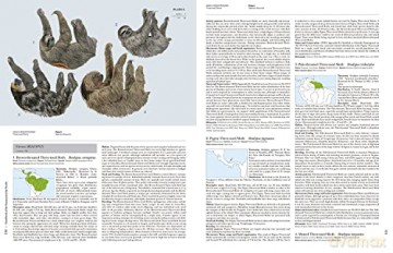 Handbook of the Mammals of the World. Vol.8: Insectivores, Sloths and Colugos - Don E. Wilson [KSIĄŻKA]