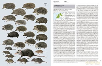 Handbook of the Mammals of the World. Vol.8: Insectivores, Sloths and Colugos - Don E. Wilson [KSIĄŻKA]