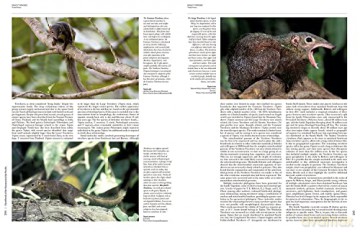 Handbook of the Mammals of the World. Vol.8: Insectivores, Sloths and Colugos - Don E. Wilson [KSIĄŻKA]