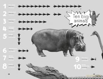 Hamza's Wild World: The essential book for young animal fans, full of fun facts! - Hamza Yassin [KSIĄŻKA]