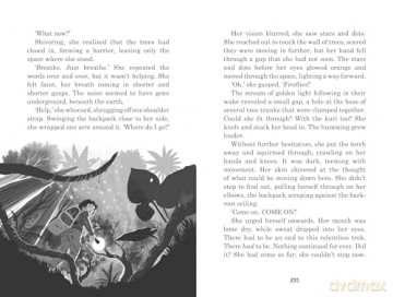 Land of the Last Wildcat: The hit children's adventure of the summer! - Lui Sit [KSIĄŻKA]