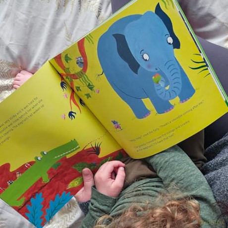 The Tooth Fairy and the Crocodile: a magical introduction to the tooth fairy for young children - Julia Donaldson [KSIĄŻKA]