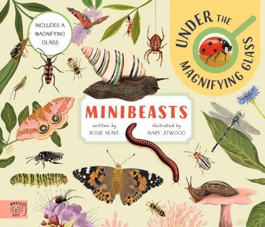 Minibeasts: Under the Magnifying Glass - Rosie Neave [KSIĄŻKA]