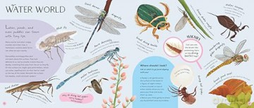 Minibeasts: Under the Magnifying Glass - Rosie Neave [KSIĄŻKA]