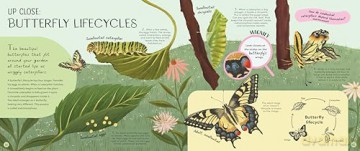 Minibeasts: Under the Magnifying Glass - Rosie Neave [KSIĄŻKA]