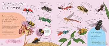 Minibeasts: Under the Magnifying Glass - Rosie Neave [KSIĄŻKA]