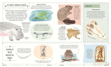 Wild: A Child's Guide to the Animal Kingdom (In Our Nature) - Jack Ashby [KSIĄŻKA]
