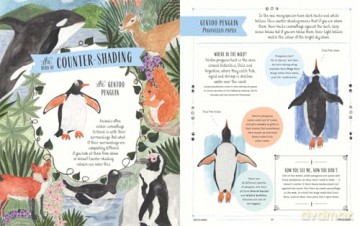 Wild: A Child's Guide to the Animal Kingdom (In Our Nature) - Jack Ashby [KSIĄŻKA]