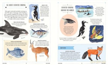 Wild: A Child's Guide to the Animal Kingdom (In Our Nature) - Jack Ashby [KSIĄŻKA]