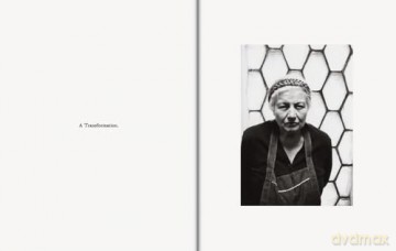 Hervé Guibert: Suzanne and Louise - Herve Guibert [KSIĄŻKA]