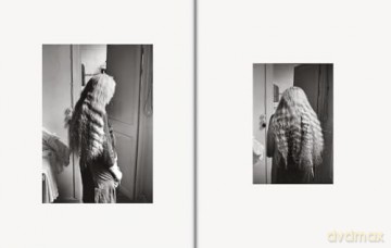 Hervé Guibert: Suzanne and Louise - Herve Guibert [KSIĄŻKA]