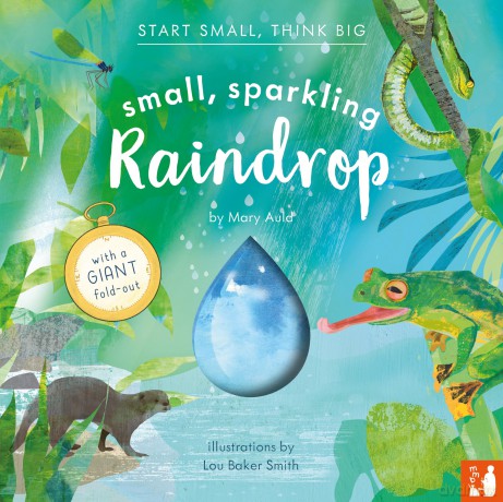 Small, Sparkling Raindrop: A fact-filled picture book about the water cycle with a large fold-out (ages 4-8) (Start Small, Think Big) - Mary Auld [KSIĄŻKA]
