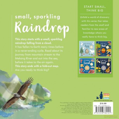 Small, Sparkling Raindrop: A fact-filled picture book about the water cycle with a large fold-out (ages 4-8) (Start Small, Think Big) - Mary Auld [KSIĄŻKA]