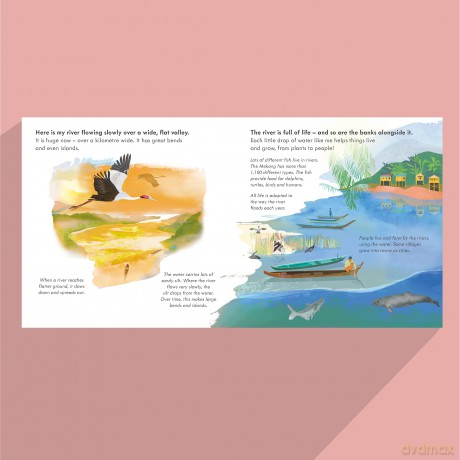 Small, Sparkling Raindrop: A fact-filled picture book about the water cycle with a large fold-out (ages 4-8) (Start Small, Think Big) - Mary Auld [KSIĄŻKA]